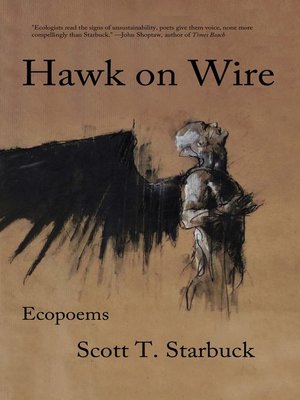 cover image of Hawk on Wire